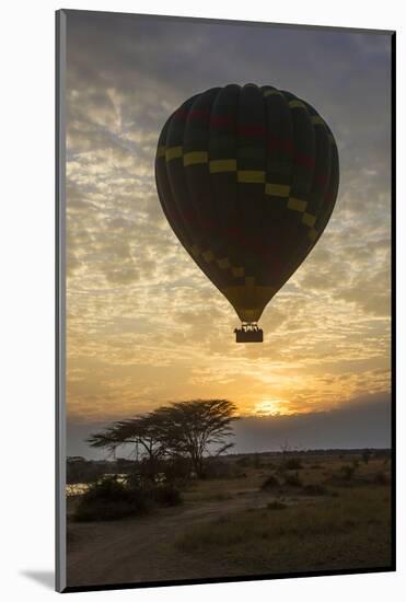 Africa. Tanzania. Hot air balloon crossing the Mara River, Serengeti National Park.-Ralph H. Bendjebar-Mounted Photographic Print