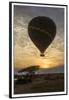 Africa. Tanzania. Hot air balloon crossing the Mara River, Serengeti National Park.-Ralph H. Bendjebar-Framed Premium Photographic Print