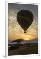 Africa. Tanzania. Hot air balloon crossing the Mara River, Serengeti National Park.-Ralph H. Bendjebar-Framed Premium Photographic Print