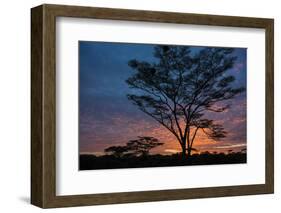 Africa. Tanzania. Morning sunrise at Ndutu, Serengeti National Park.-Ralph H. Bendjebar-Framed Photographic Print