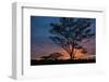 Africa. Tanzania. Morning sunrise at Ndutu, Serengeti National Park.-Ralph H. Bendjebar-Framed Photographic Print