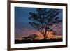 Africa. Tanzania. Morning sunrise at Ndutu, Serengeti National Park.-Ralph H. Bendjebar-Framed Photographic Print