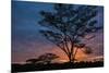 Africa. Tanzania. Morning sunrise at Ndutu, Serengeti National Park.-Ralph H. Bendjebar-Mounted Photographic Print