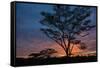 Africa. Tanzania. Morning sunrise at Ndutu, Serengeti National Park.-Ralph H. Bendjebar-Framed Stretched Canvas