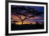 Africa. Tanzania. Morning sunrise at Ndutu, Serengeti National Park.-Ralph H. Bendjebar-Framed Photographic Print