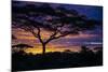 Africa. Tanzania. Morning sunrise at Ndutu, Serengeti National Park.-Ralph H. Bendjebar-Mounted Photographic Print