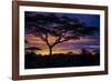 Africa. Tanzania. Morning sunrise at Ndutu, Serengeti National Park.-Ralph H. Bendjebar-Framed Photographic Print