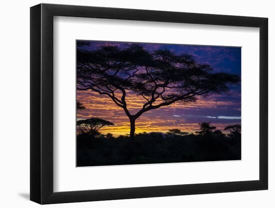 Africa. Tanzania. Morning sunrise at Ndutu, Serengeti National Park.-Ralph H. Bendjebar-Framed Photographic Print