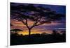 Africa. Tanzania. Morning sunrise at Ndutu, Serengeti National Park.-Ralph H. Bendjebar-Framed Photographic Print