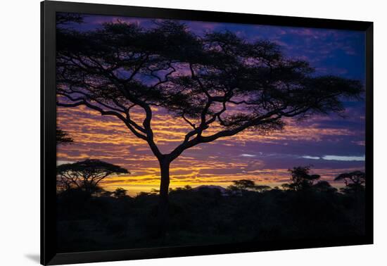 Africa. Tanzania. Morning sunrise at Ndutu, Serengeti National Park.-Ralph H. Bendjebar-Framed Photographic Print