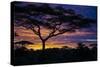 Africa. Tanzania. Morning sunrise at Ndutu, Serengeti National Park.-Ralph H. Bendjebar-Stretched Canvas