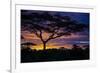 Africa. Tanzania. Morning sunrise at Ndutu, Serengeti National Park.-Ralph H. Bendjebar-Framed Photographic Print