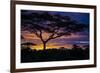 Africa. Tanzania. Morning sunrise at Ndutu, Serengeti National Park.-Ralph H. Bendjebar-Framed Photographic Print