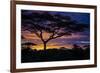 Africa. Tanzania. Morning sunrise at Ndutu, Serengeti National Park.-Ralph H. Bendjebar-Framed Photographic Print