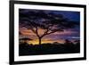 Africa. Tanzania. Morning sunrise at Ndutu, Serengeti National Park.-Ralph H. Bendjebar-Framed Photographic Print