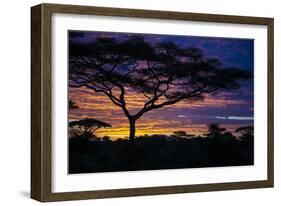 Africa. Tanzania. Morning sunrise at Ndutu, Serengeti National Park.-Ralph H. Bendjebar-Framed Photographic Print