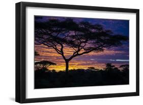 Africa. Tanzania. Morning sunrise at Ndutu, Serengeti National Park.-Ralph H. Bendjebar-Framed Photographic Print