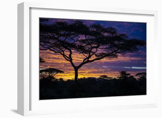 Africa. Tanzania. Morning sunrise at Ndutu, Serengeti National Park.-Ralph H. Bendjebar-Framed Photographic Print