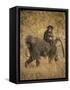 Africa. Tanzania. Olive baboon female with baby at Serengeti National Park.-Ralph H. Bendjebar-Framed Stretched Canvas