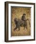 Africa. Tanzania. Olive baboon female with baby at Serengeti National Park.-Ralph H. Bendjebar-Framed Photographic Print