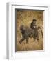 Africa. Tanzania. Olive baboon female with baby at Serengeti National Park.-Ralph H. Bendjebar-Framed Photographic Print