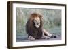 Africa, Tanzania. Portrait of a black-maned lion.-Ellen Goff-Framed Photographic Print