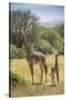 Africa, Tanzania, Serengeti National Park. Giraffe parent and young.-Jaynes Gallery-Stretched Canvas