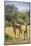 Africa, Tanzania, Serengeti National Park. Giraffe parent and young.-Jaynes Gallery-Mounted Photographic Print