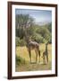 Africa, Tanzania, Serengeti National Park. Giraffe parent and young.-Jaynes Gallery-Framed Photographic Print