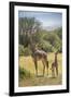 Africa, Tanzania, Serengeti National Park. Giraffe parent and young.-Jaynes Gallery-Framed Photographic Print