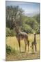 Africa, Tanzania, Serengeti National Park. Giraffe parent and young.-Jaynes Gallery-Mounted Photographic Print