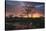 Africa. Tanzania. Sunset lights up a flock of Marabou storks in a marsh, Serengeti National Park.-Ralph H. Bendjebar-Stretched Canvas