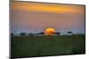 Africa, Tanzania, sunset-Lee Klopfer-Mounted Photographic Print