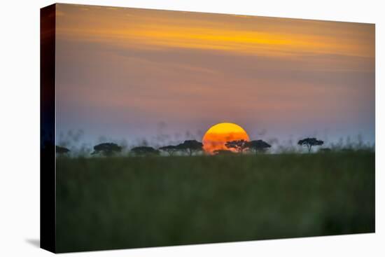 Africa, Tanzania, sunset-Lee Klopfer-Stretched Canvas