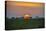 Africa, Tanzania, sunset-Lee Klopfer-Stretched Canvas