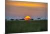 Africa, Tanzania, sunset-Lee Klopfer-Mounted Photographic Print