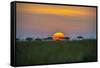 Africa, Tanzania, sunset-Lee Klopfer-Framed Stretched Canvas