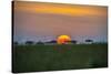 Africa, Tanzania, sunset-Lee Klopfer-Stretched Canvas