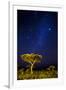 Africa. Tanzania. The Milky Way illuminate the night sky at Ndutu in Serengeti National Park.-Ralph H. Bendjebar-Framed Photographic Print