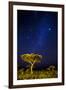 Africa. Tanzania. The Milky Way illuminate the night sky at Ndutu in Serengeti National Park.-Ralph H. Bendjebar-Framed Photographic Print