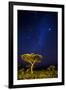 Africa. Tanzania. The Milky Way illuminate the night sky at Ndutu in Serengeti National Park.-Ralph H. Bendjebar-Framed Photographic Print