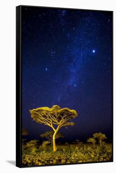 Africa. Tanzania. The Milky Way illuminate the night sky at Ndutu in Serengeti National Park.-Ralph H. Bendjebar-Framed Stretched Canvas
