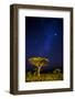 Africa. Tanzania. The Milky Way illuminate the night sky at Ndutu in Serengeti National Park.-Ralph H. Bendjebar-Framed Photographic Print