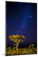 Africa. Tanzania. The Milky Way illuminate the night sky at Ndutu in Serengeti National Park.-Ralph H. Bendjebar-Mounted Photographic Print