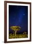 Africa. Tanzania. The Milky Way illuminate the night sky at Ndutu in Serengeti National Park.-Ralph H. Bendjebar-Framed Photographic Print