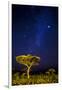 Africa. Tanzania. The Milky Way illuminate the night sky at Ndutu in Serengeti National Park.-Ralph H. Bendjebar-Framed Photographic Print