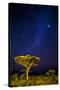 Africa. Tanzania. The Milky Way illuminate the night sky at Ndutu in Serengeti National Park.-Ralph H. Bendjebar-Stretched Canvas