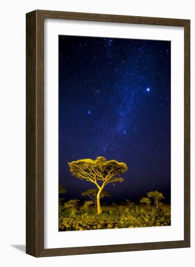 Africa. Tanzania. The Milky Way illuminate the night sky at Ndutu in Serengeti National Park.-Ralph H. Bendjebar-Framed Photographic Print