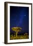 Africa. Tanzania. The Milky Way illuminate the night sky at Ndutu in Serengeti National Park.-Ralph H. Bendjebar-Framed Photographic Print