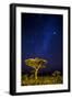 Africa. Tanzania. The Milky Way illuminate the night sky at Ndutu in Serengeti National Park.-Ralph H. Bendjebar-Framed Photographic Print